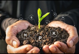 食品原料小百科：植物中能用PQQ嗎？