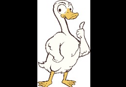 食品原料小百科：PQQ在動物領(lǐng)域的應(yīng)用？