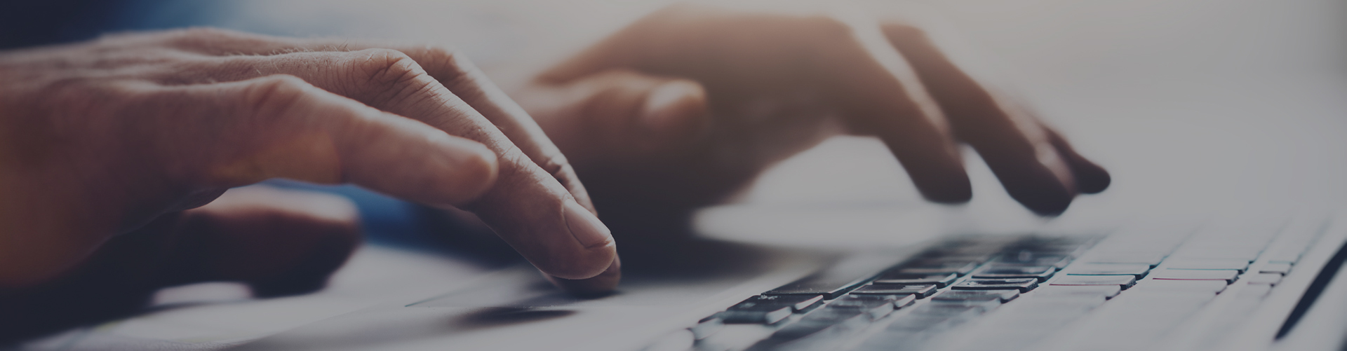 業(yè)務(wù)范圍